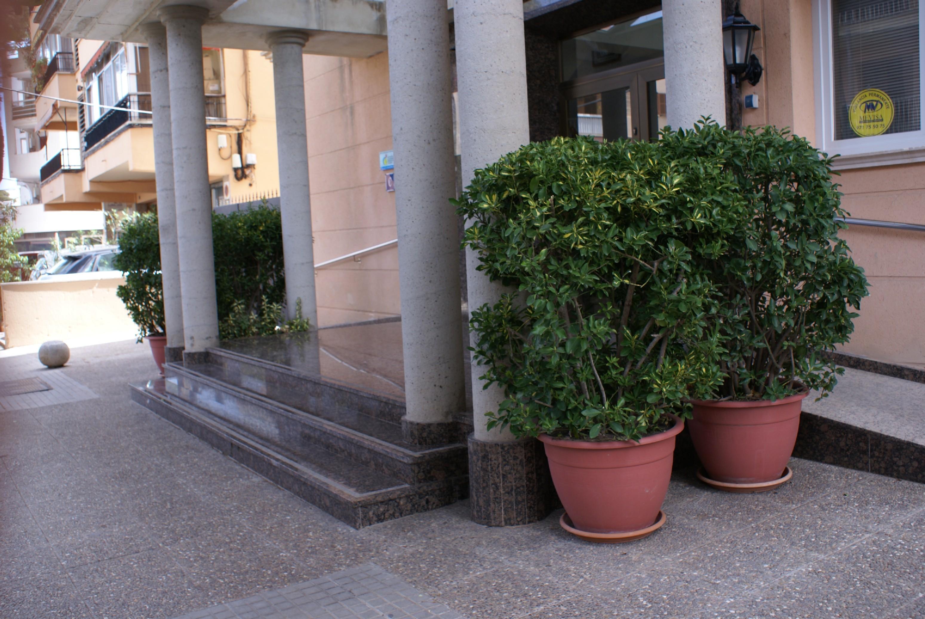 Apartamentos Isla Del Sol Can Pastilla  Bagian luar foto