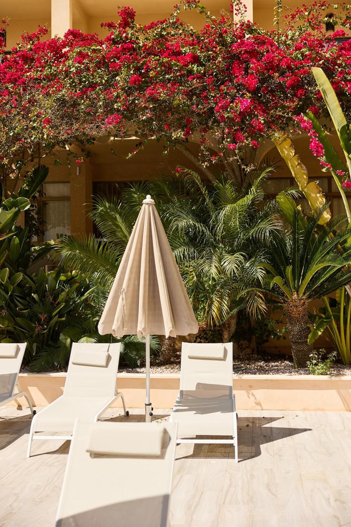 Apartamentos Isla Del Sol Can Pastilla  Bagian luar foto